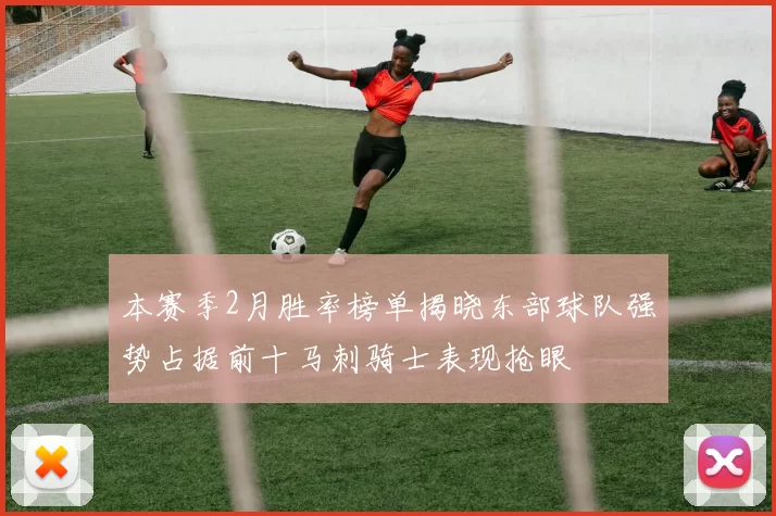 本赛季2月胜率榜单揭晓东部球队强势占据前十马刺骑士表现抢眼