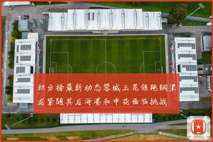 积分榜最新动态蓉城玉昆领跑铜梁龙紧随其后海港和申花面临挑战